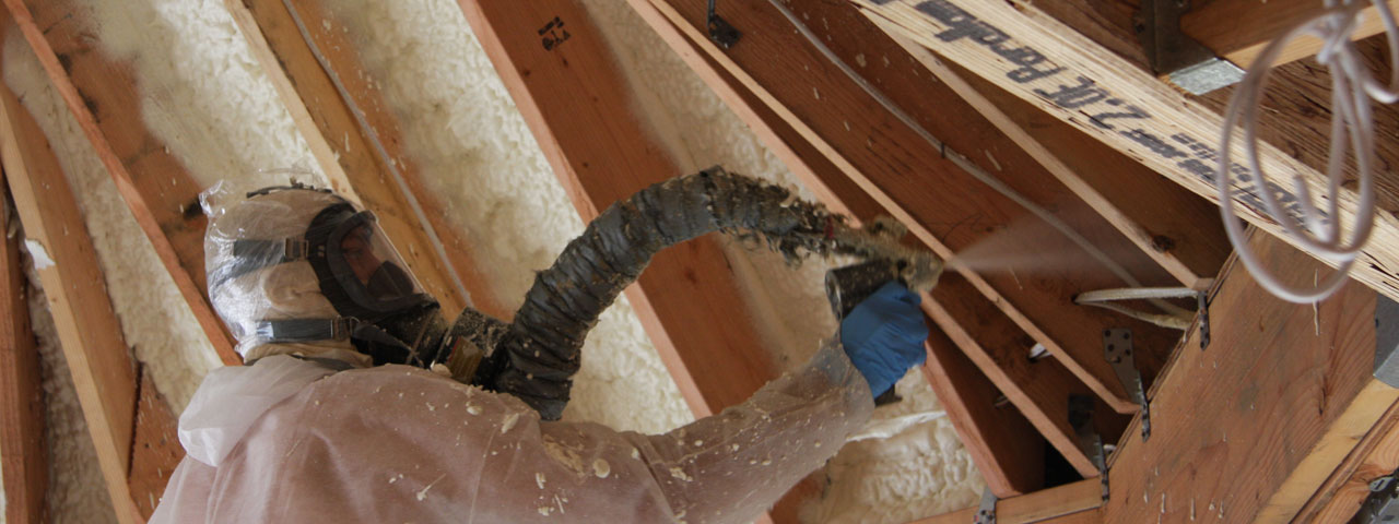 Gainesville Florida Attic Insulation Spray Foam Gainesville Florida Attic Insulation Spray Foam